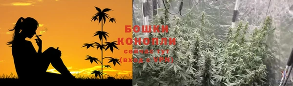 СК Арсеньев