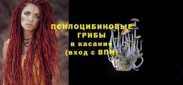 бутират Алзамай