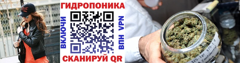 Бошки Шишки планчик  Батайск 